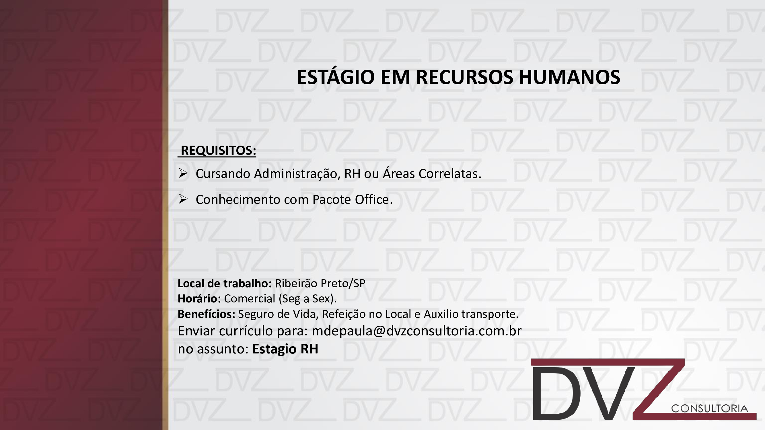 DVZ-Consultoria.jpg